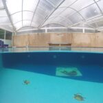 vista mitad de alberca pool party