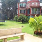 jardin con plantas y casa de ladrillos ideal para dinámicas de Team Building