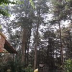 jardín lugar para eventos empresariales